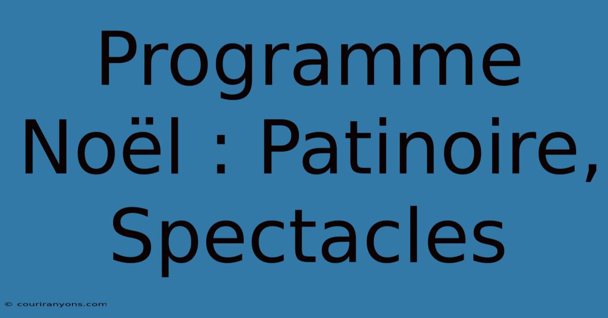 Programme Noël : Patinoire, Spectacles