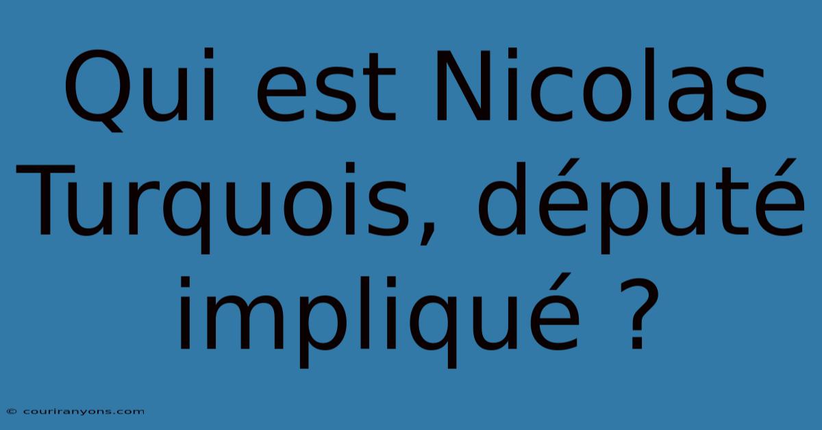 Qui Est Nicolas Turquois, Député Impliqué ?