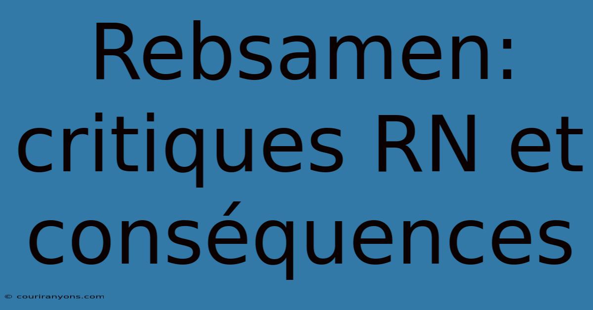 Rebsamen: Critiques RN Et Conséquences