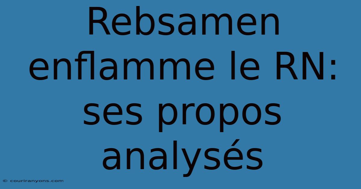 Rebsamen Enflamme Le RN: Ses Propos Analysés