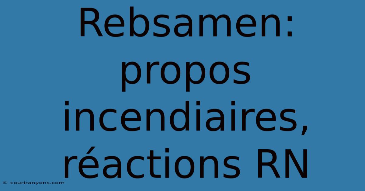 Rebsamen: Propos Incendiaires, Réactions RN