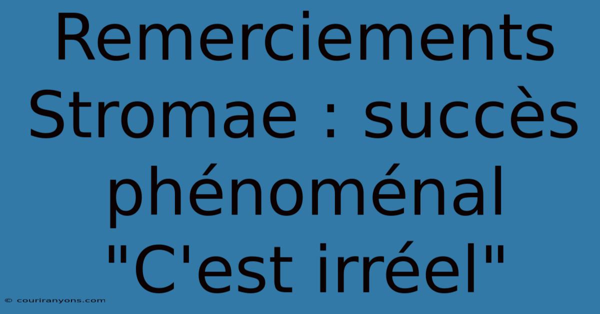 Remerciements Stromae : Succès Phénoménal 