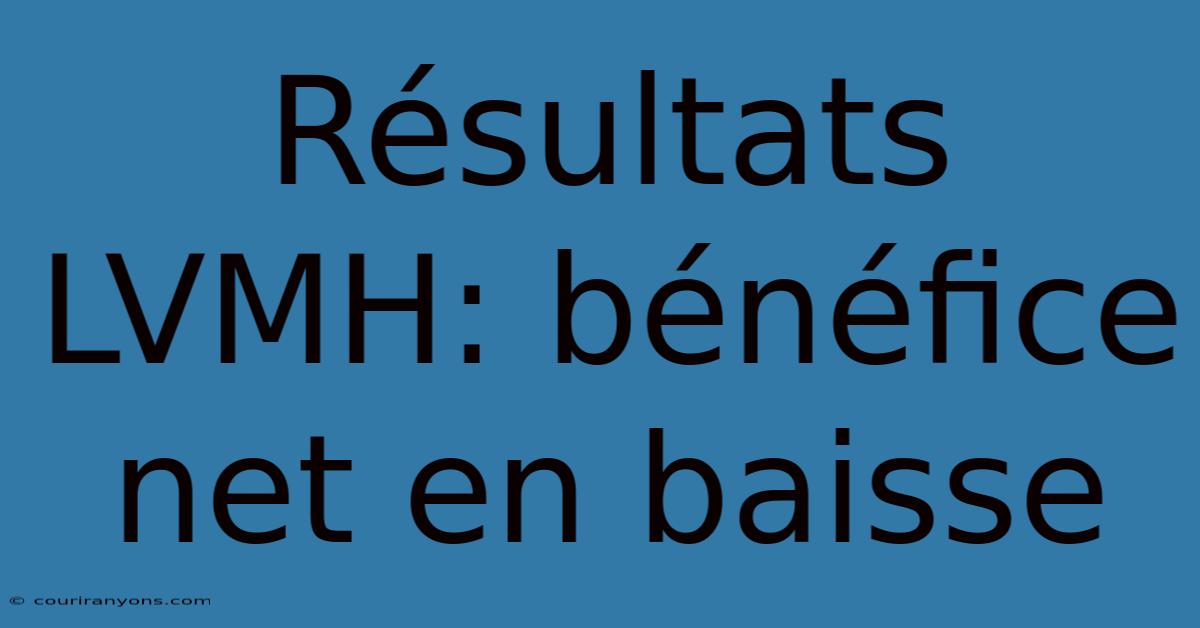 Résultats LVMH: Bénéfice Net En Baisse