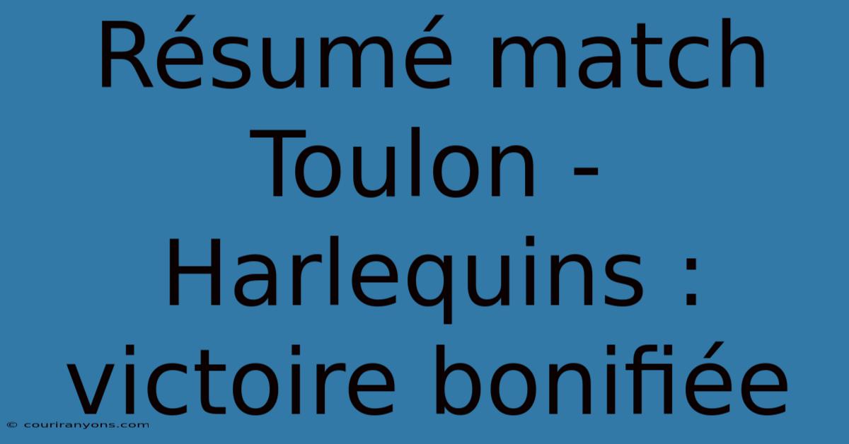 Résumé Match Toulon - Harlequins : Victoire Bonifiée