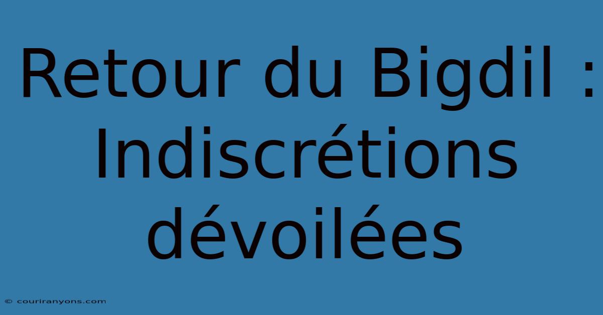 Retour Du Bigdil : Indiscrétions Dévoilées