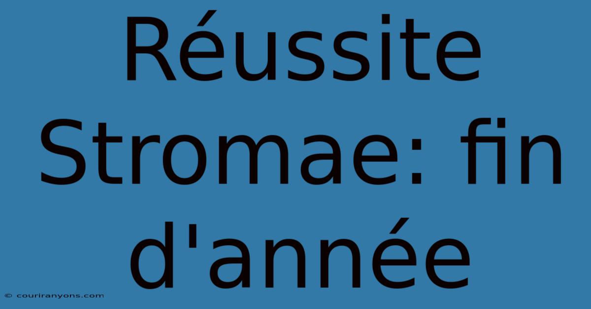 Réussite Stromae: Fin D'année