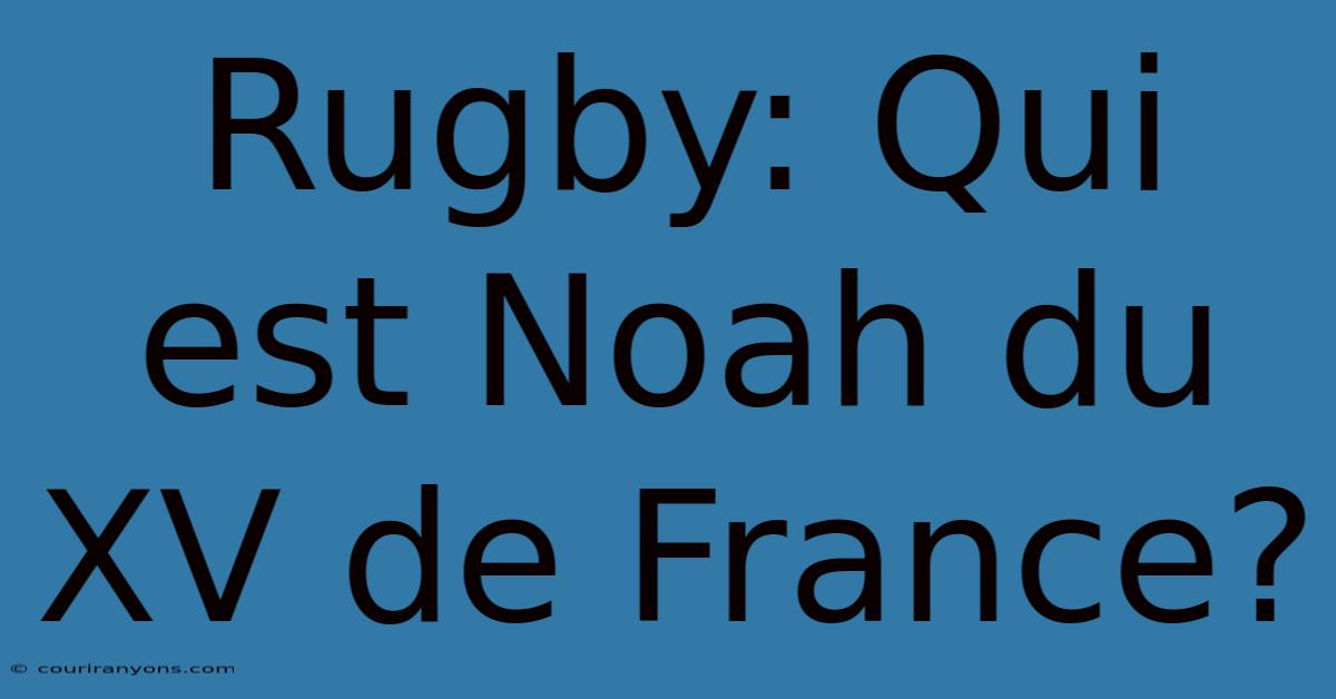 Rugby: Qui Est Noah Du XV De France?