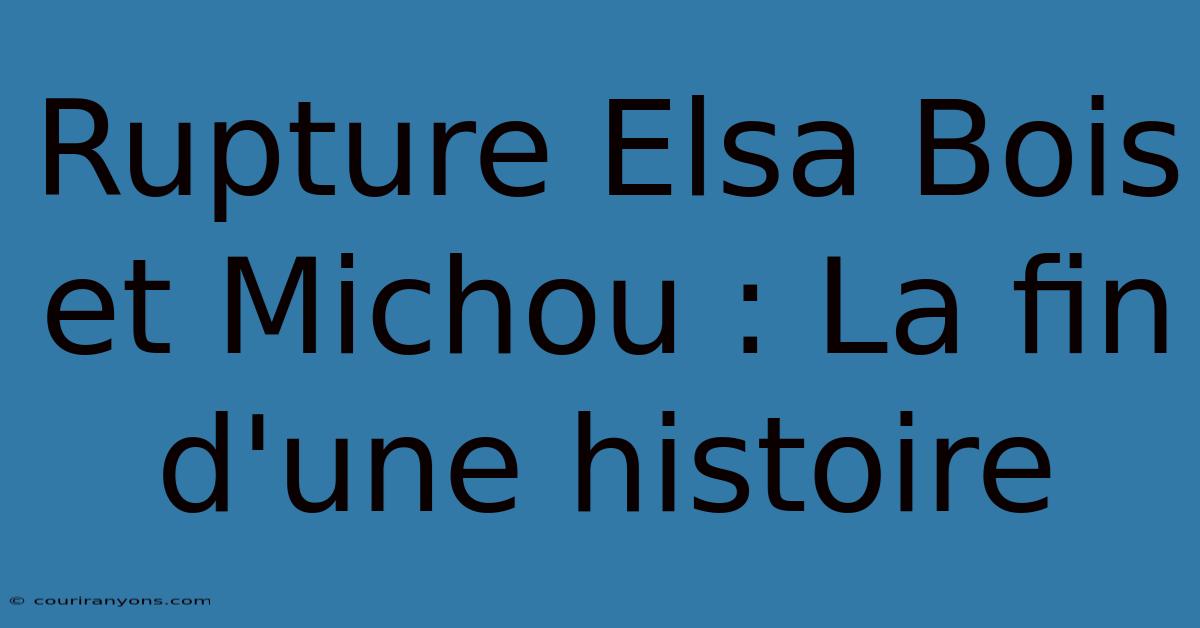 Rupture Elsa Bois Et Michou : La Fin D'une Histoire