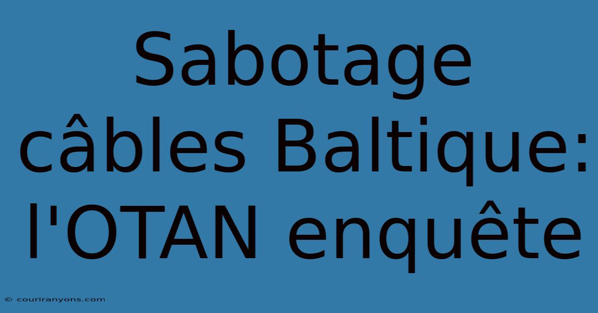 Sabotage Câbles Baltique: L'OTAN Enquête