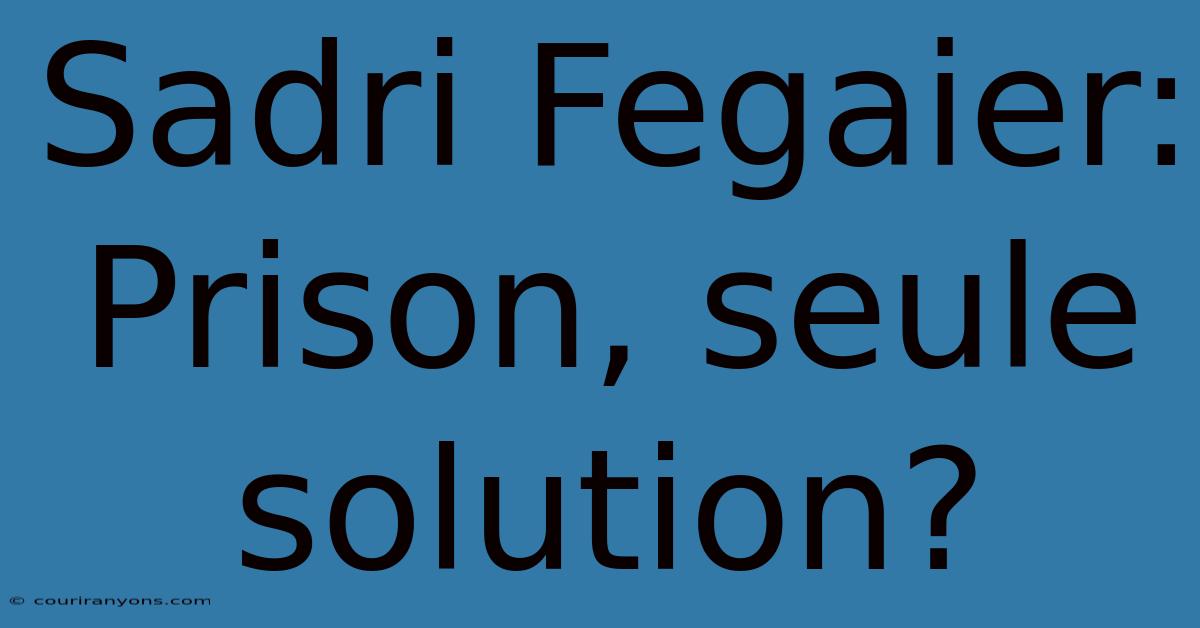 Sadri Fegaier: Prison, Seule Solution?