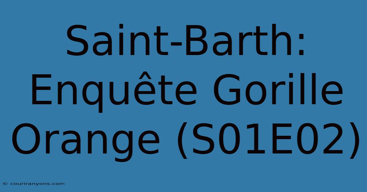 Saint-Barth: Enquête Gorille Orange (S01E02)