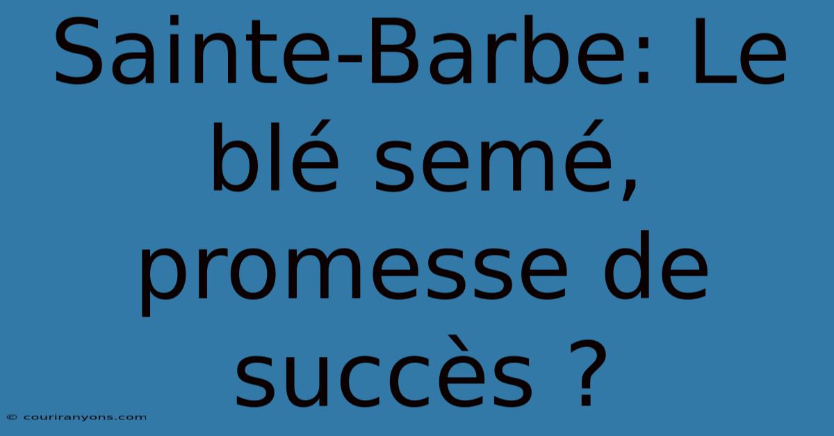 Sainte-Barbe: Le Blé Semé, Promesse De Succès ?