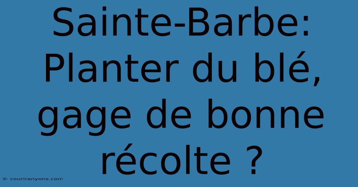 Sainte-Barbe: Planter Du Blé, Gage De Bonne Récolte ?