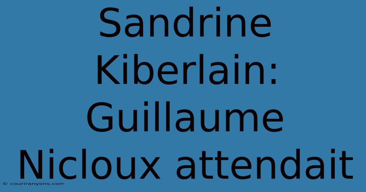 Sandrine Kiberlain: Guillaume Nicloux Attendait