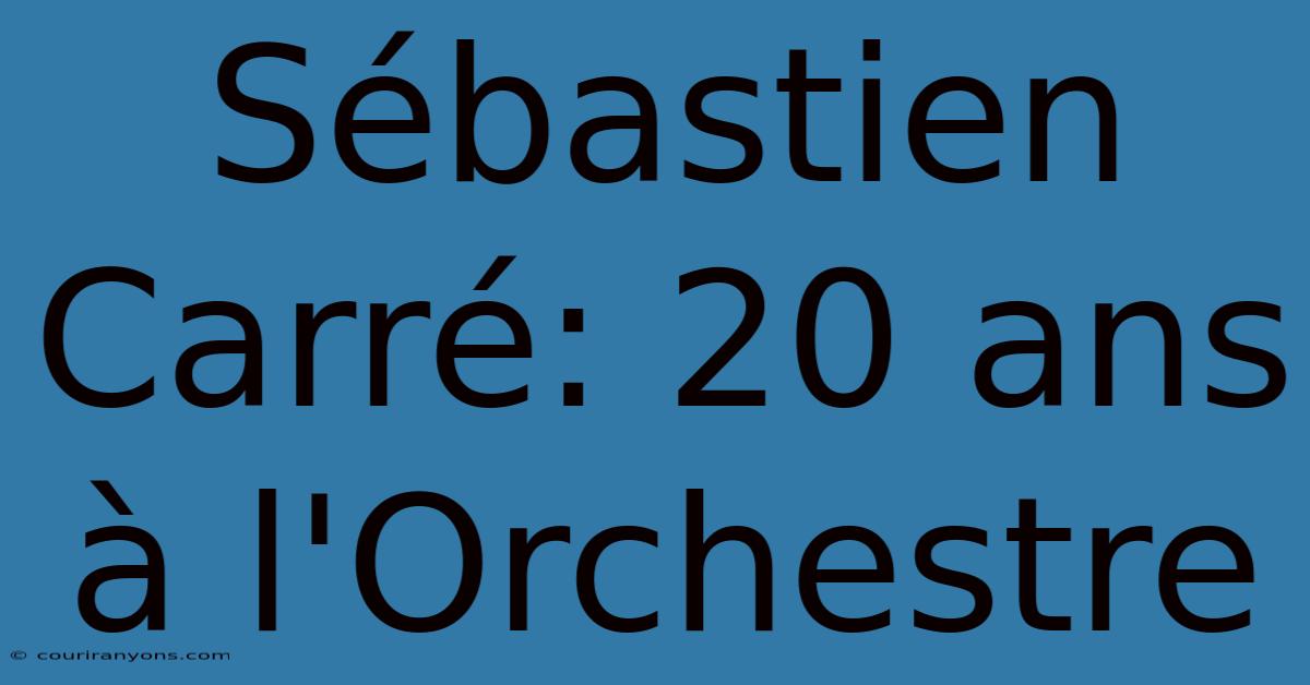 Sébastien Carré: 20 Ans À L'Orchestre