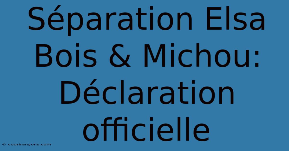 Séparation Elsa Bois & Michou: Déclaration Officielle