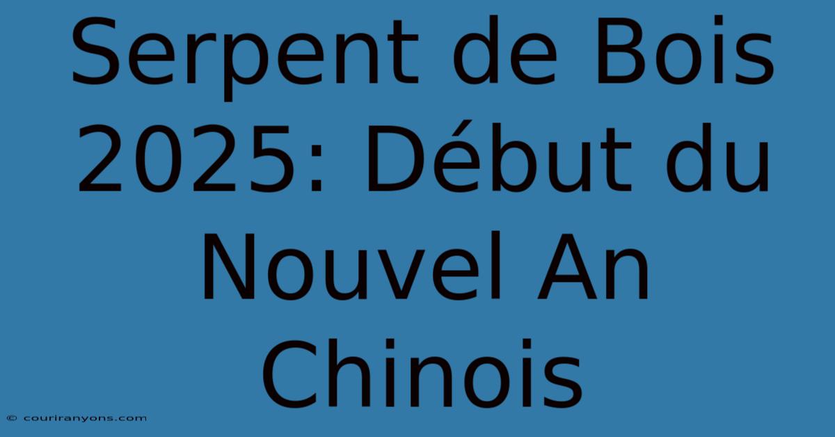 Serpent De Bois 2025: Début Du Nouvel An Chinois