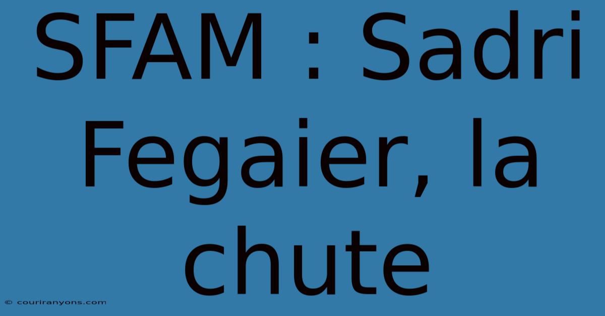 SFAM : Sadri Fegaier, La Chute