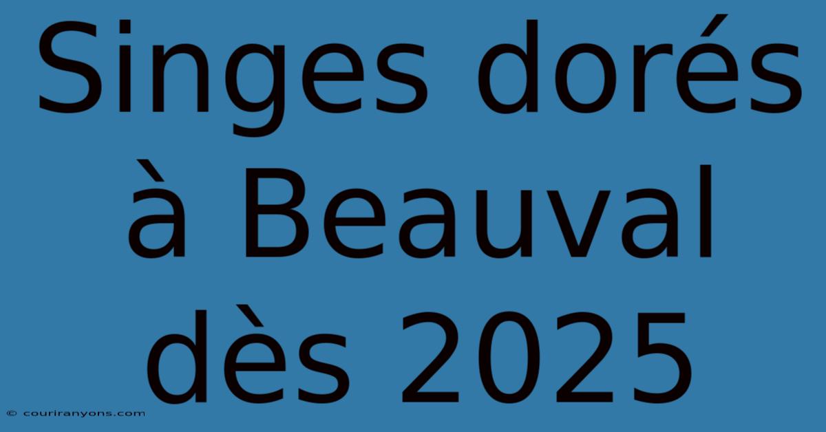 Singes Dorés À Beauval Dès 2025