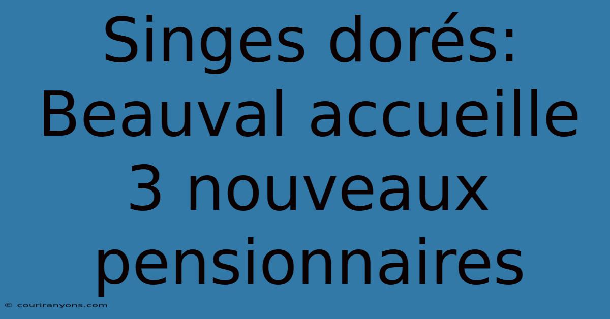 Singes Dorés: Beauval Accueille 3 Nouveaux Pensionnaires