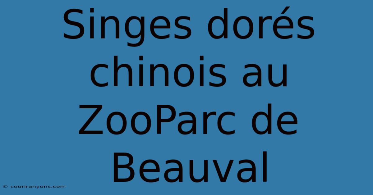 Singes Dorés Chinois Au ZooParc De Beauval