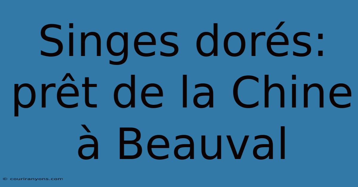 Singes Dorés: Prêt De La Chine À Beauval