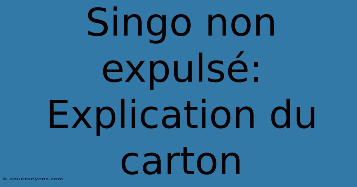 Singo Non Expulsé: Explication Du Carton