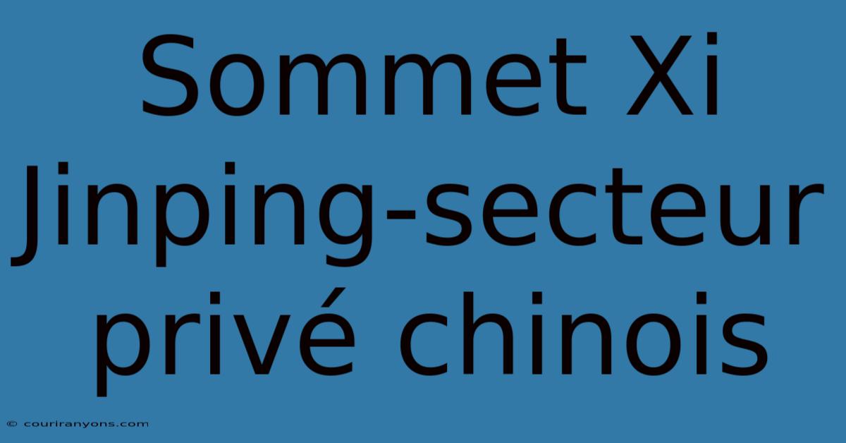 Sommet Xi Jinping-secteur Privé Chinois