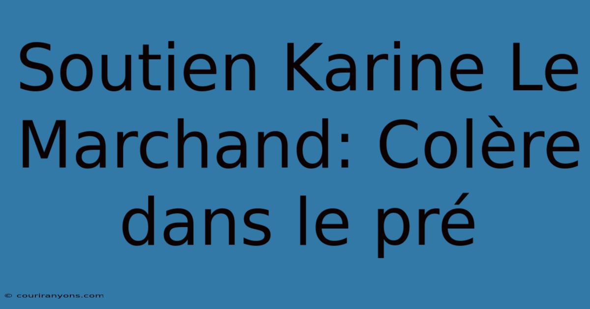 Soutien Karine Le Marchand: Colère Dans Le Pré