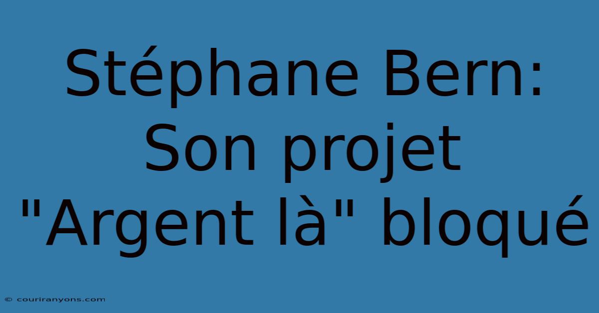 Stéphane Bern: Son Projet 