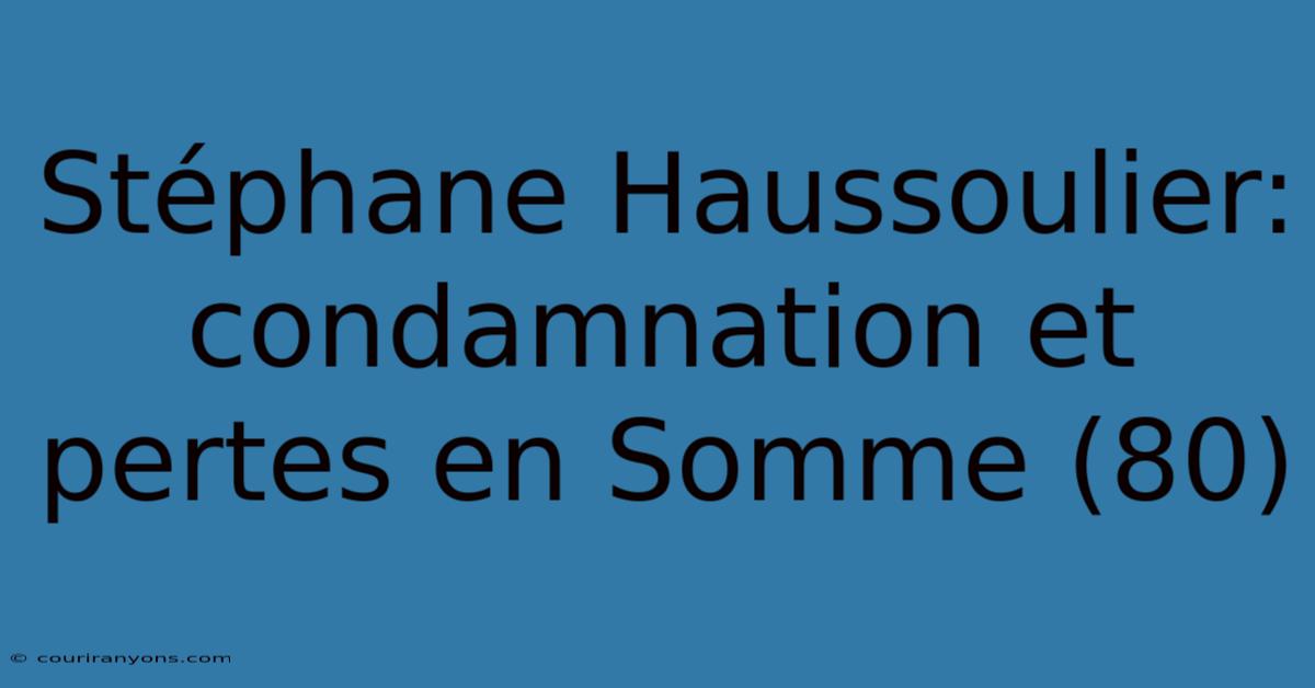 Stéphane Haussoulier: Condamnation Et Pertes En Somme (80)