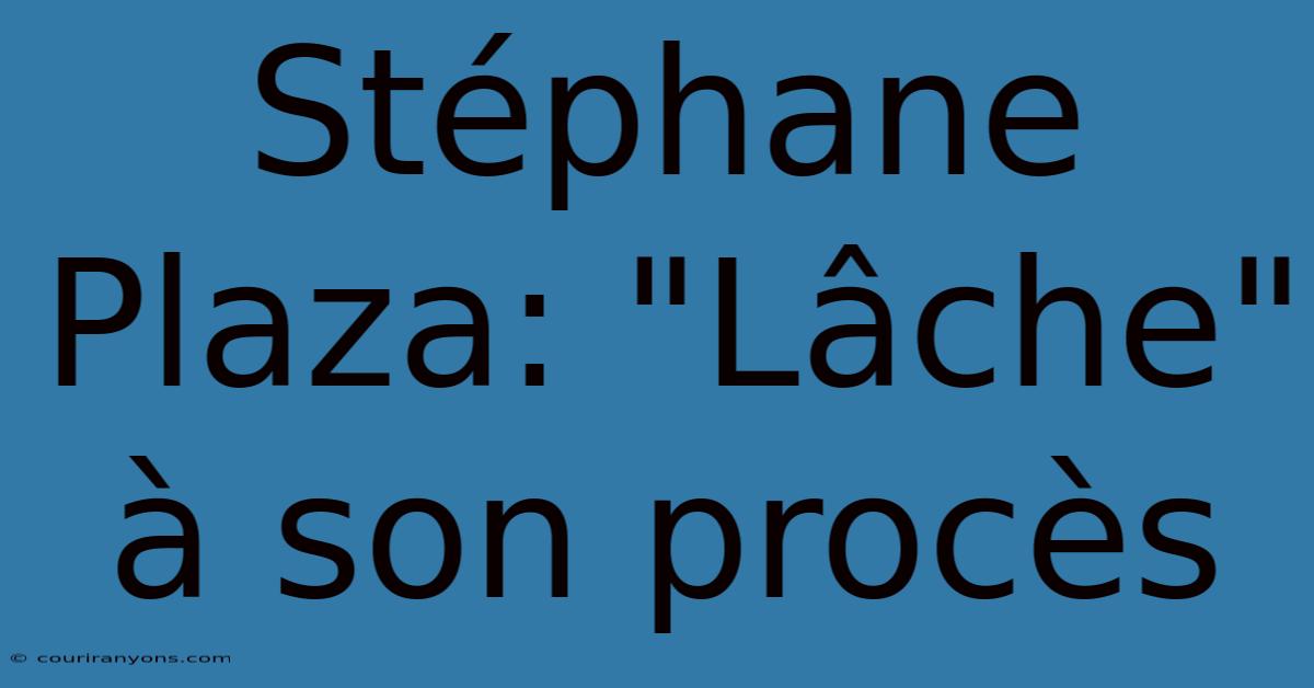 Stéphane Plaza: 