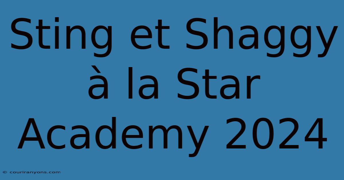 Sting Et Shaggy À La Star Academy 2024