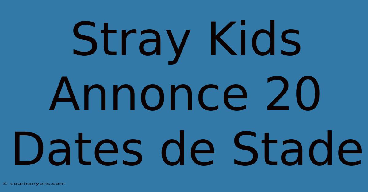 Stray Kids Annonce 20 Dates De Stade