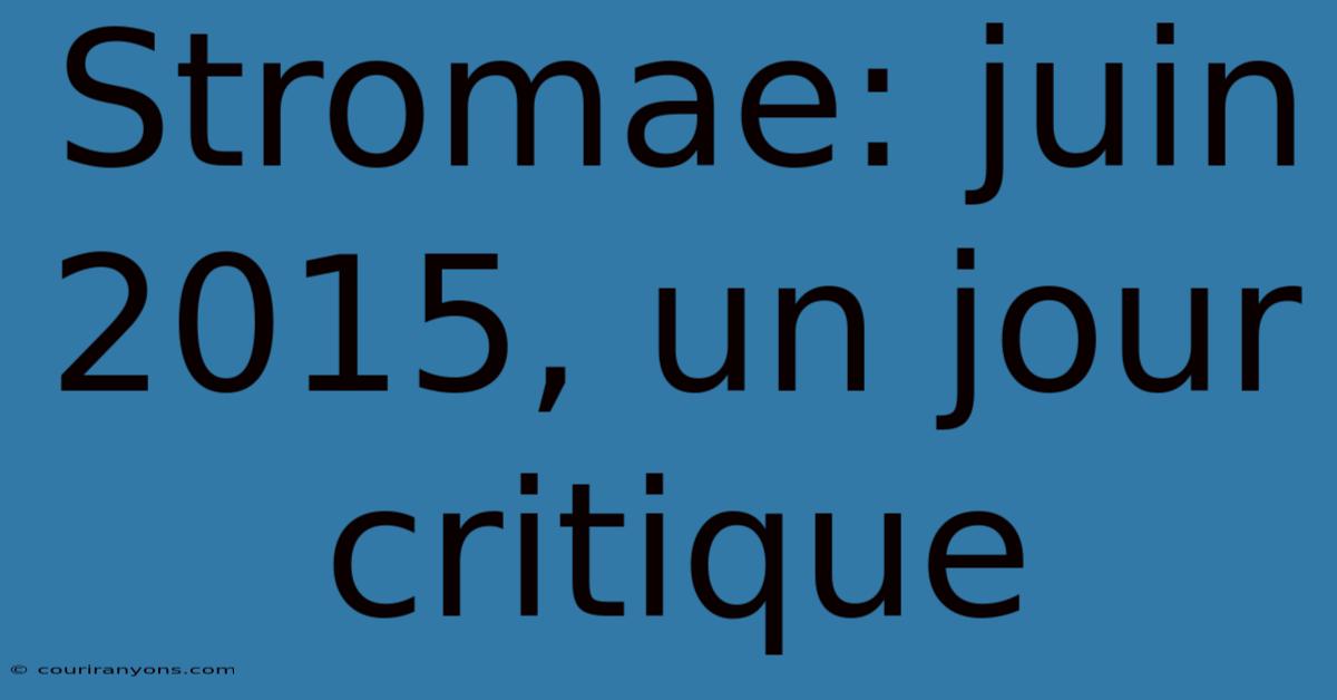 Stromae: Juin 2015, Un Jour Critique