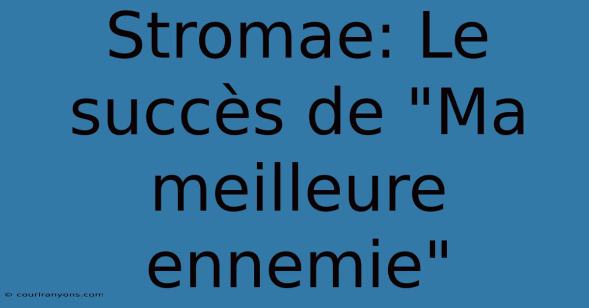 Stromae: Le Succès De 