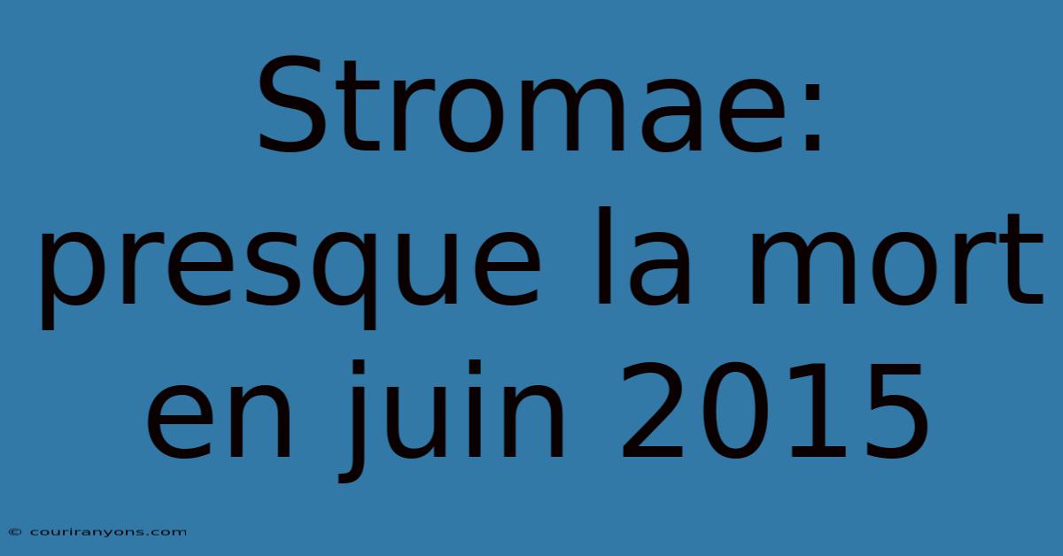 Stromae: Presque La Mort En Juin 2015