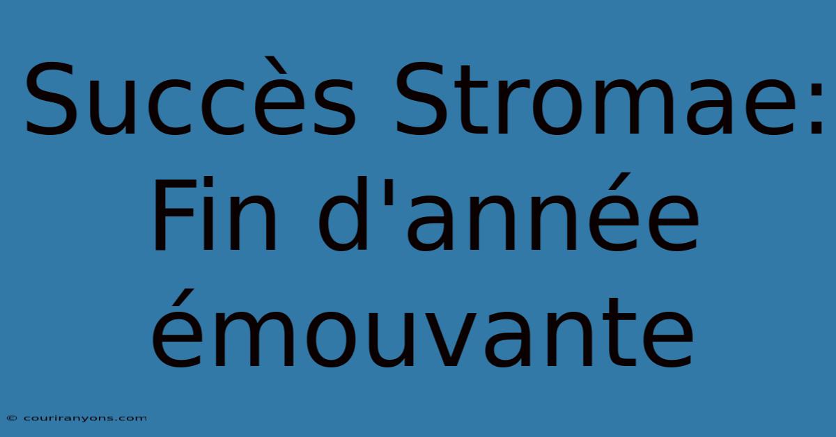 Succès Stromae: Fin D'année Émouvante