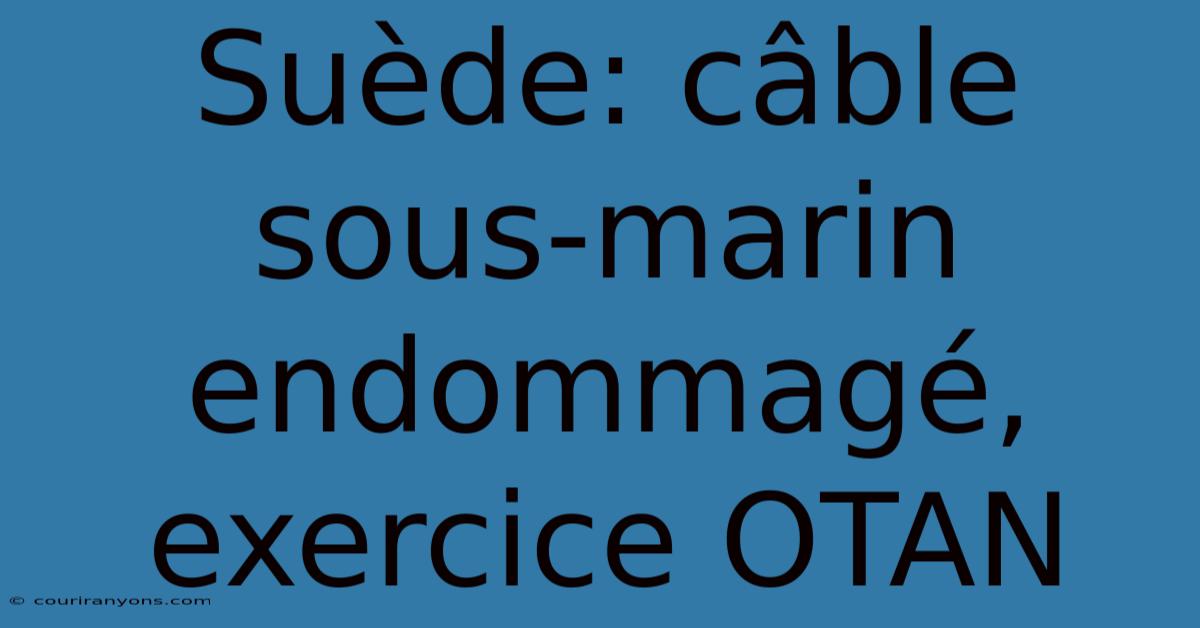 Suède: Câble Sous-marin Endommagé, Exercice OTAN