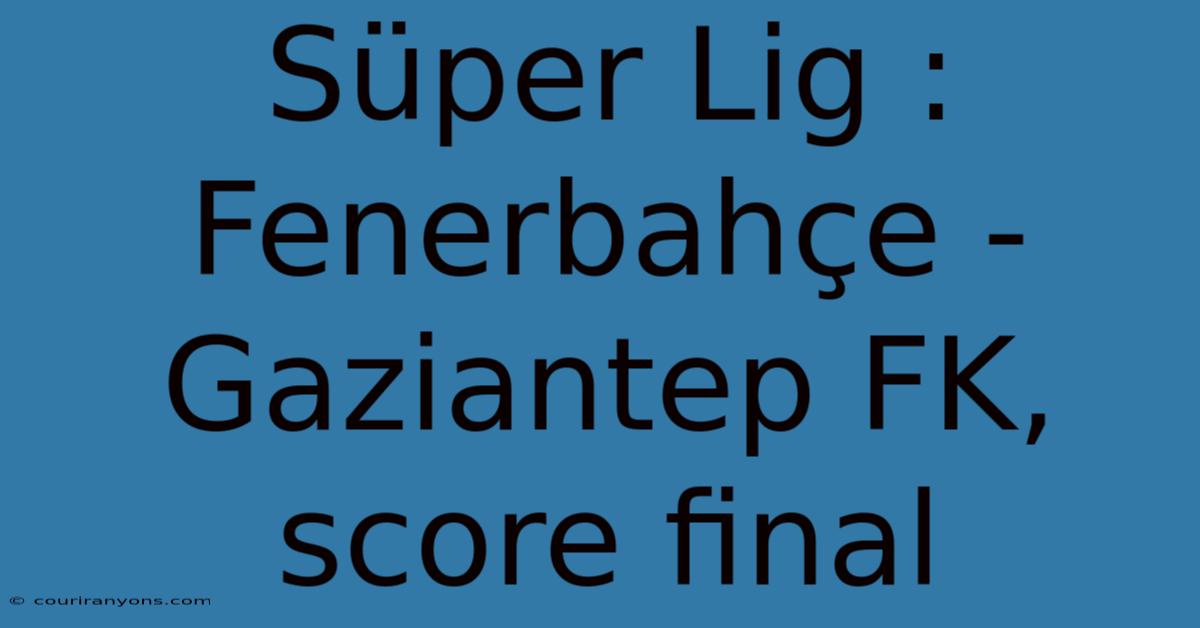 Süper Lig : Fenerbahçe - Gaziantep FK, Score Final