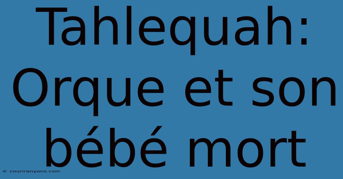 Tahlequah: Orque Et Son Bébé Mort