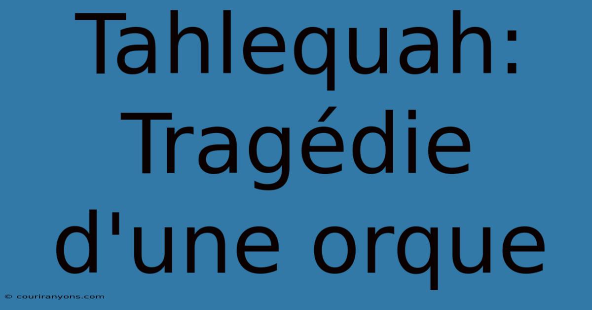 Tahlequah: Tragédie D'une Orque