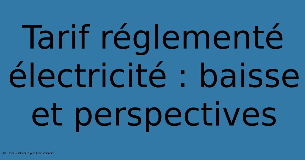 Tarif Réglementé Électricité : Baisse Et Perspectives