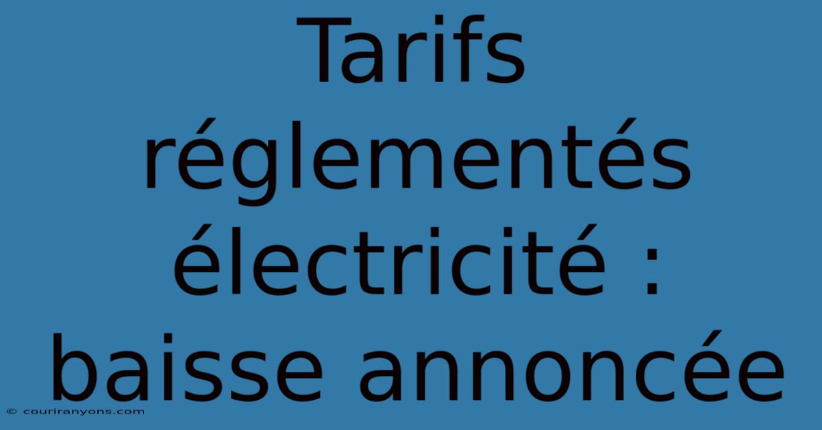 Tarifs Réglementés Électricité : Baisse Annoncée