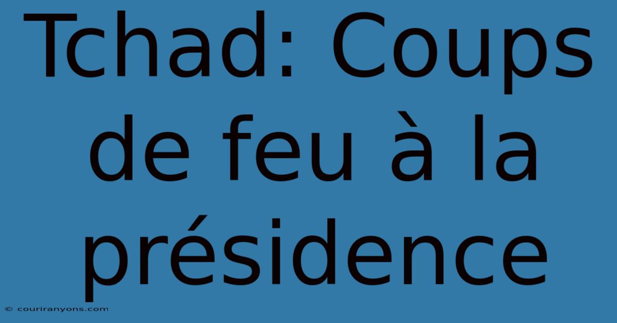 Tchad: Coups De Feu À La Présidence