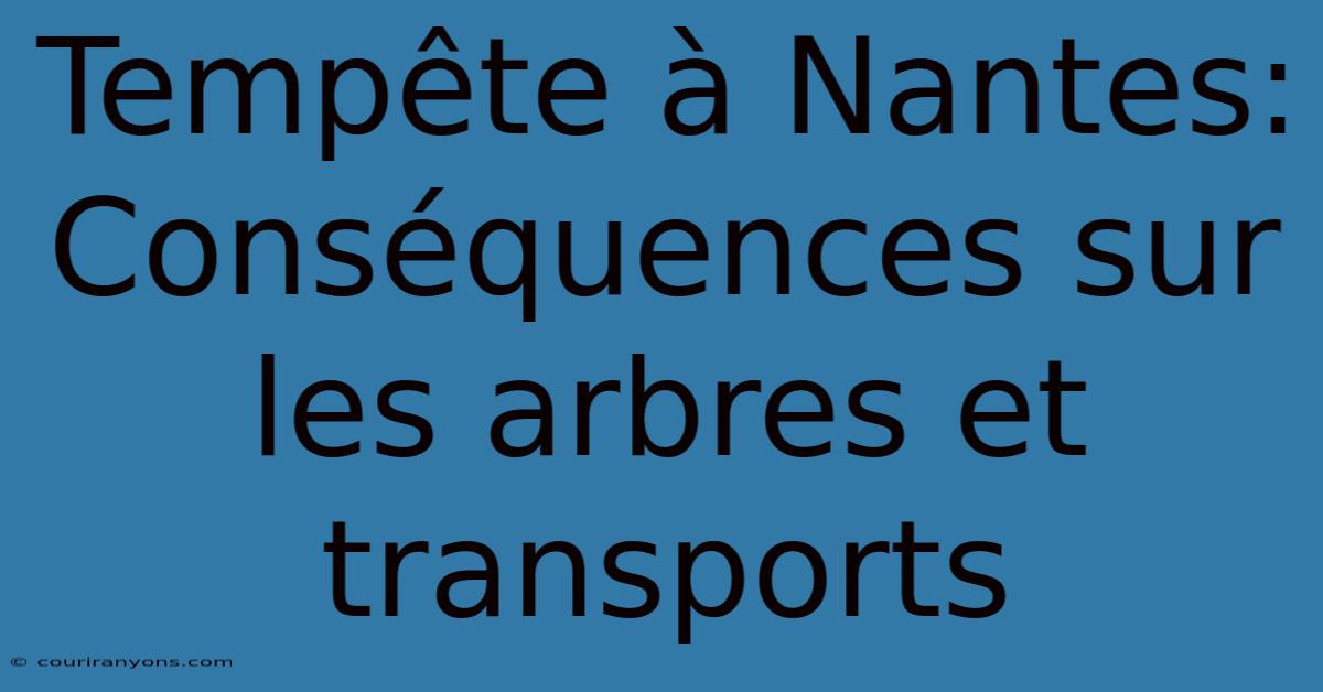 Tempête À Nantes: Conséquences Sur Les Arbres Et Transports