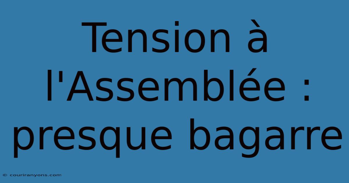 Tension À L'Assemblée : Presque Bagarre