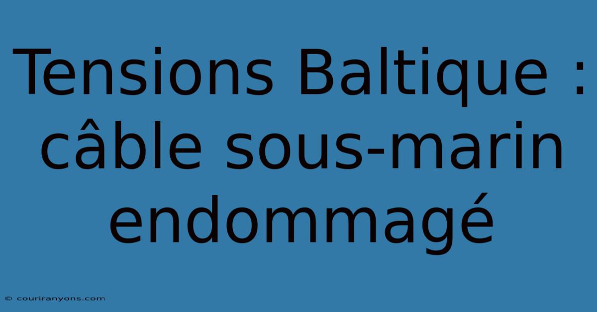 Tensions Baltique : Câble Sous-marin Endommagé