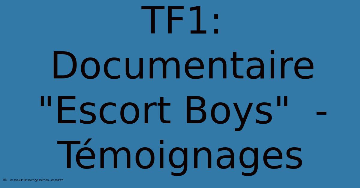 TF1:  Documentaire 