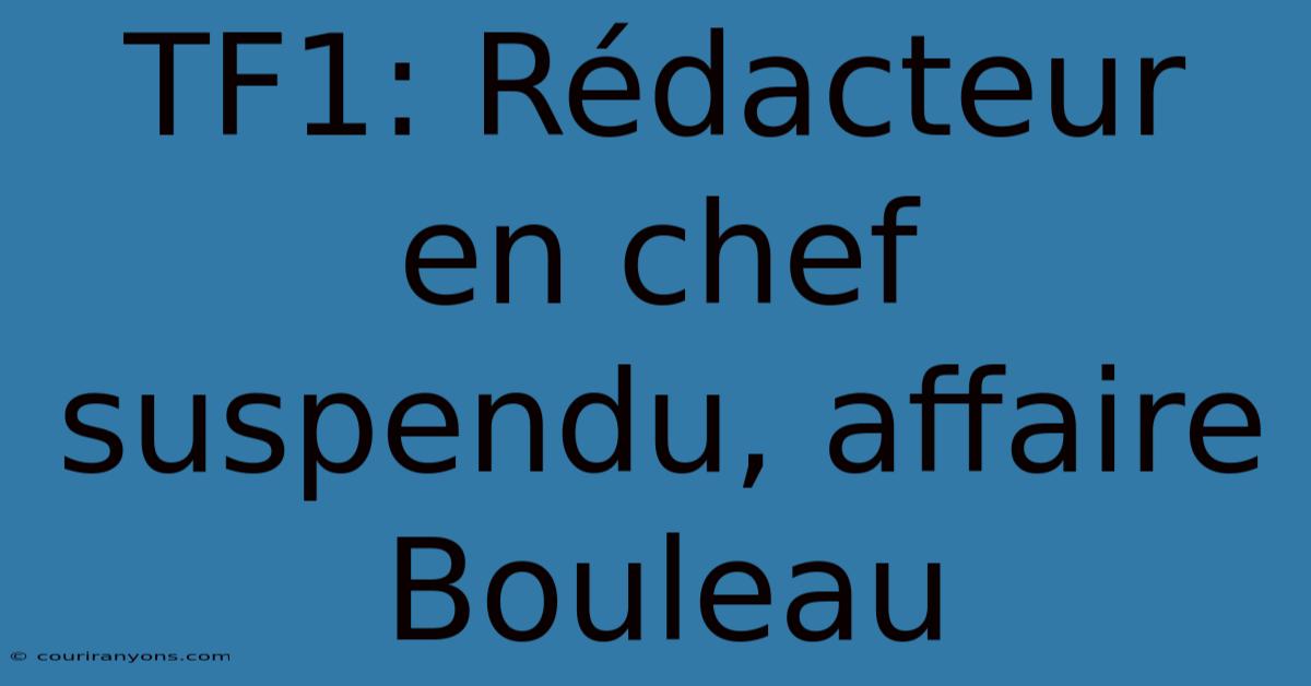 TF1: Rédacteur En Chef Suspendu, Affaire Bouleau